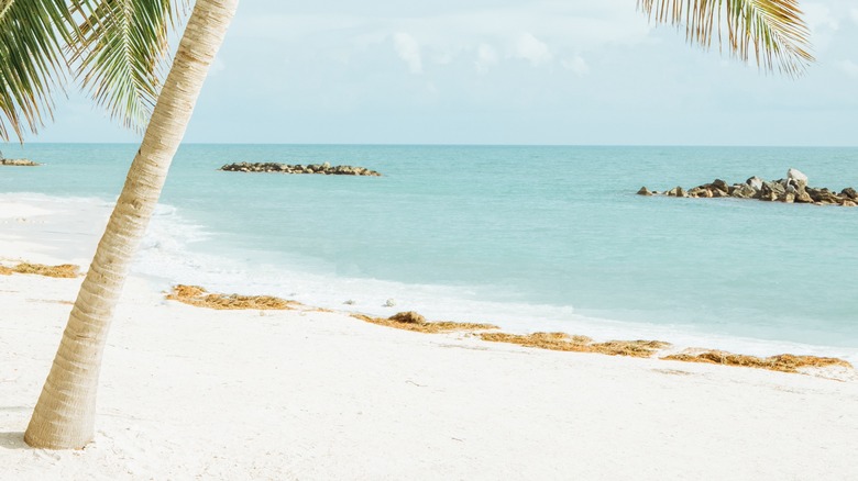 The white sands of Key West