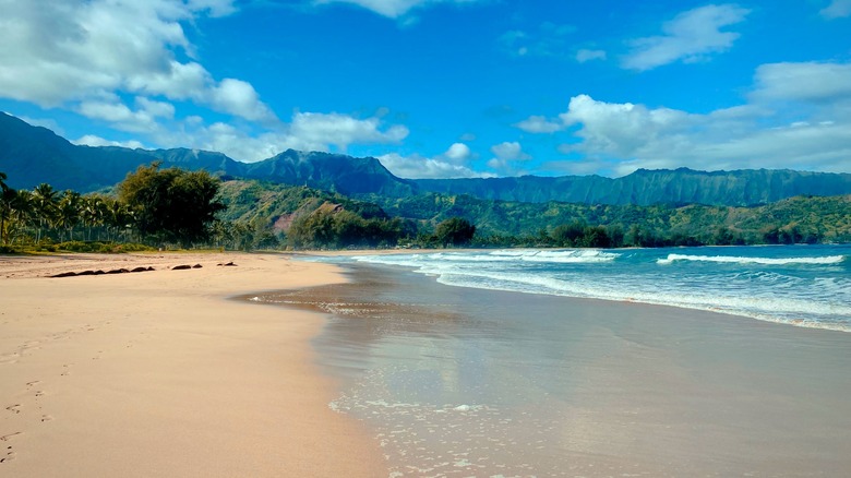 The pristine beach at Kauai