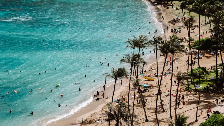 Tourists play in Oahu's waters