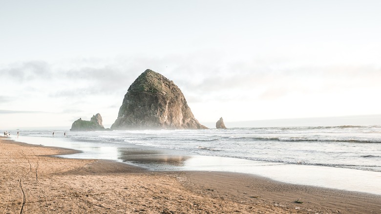 The island rises near Cannon Beach