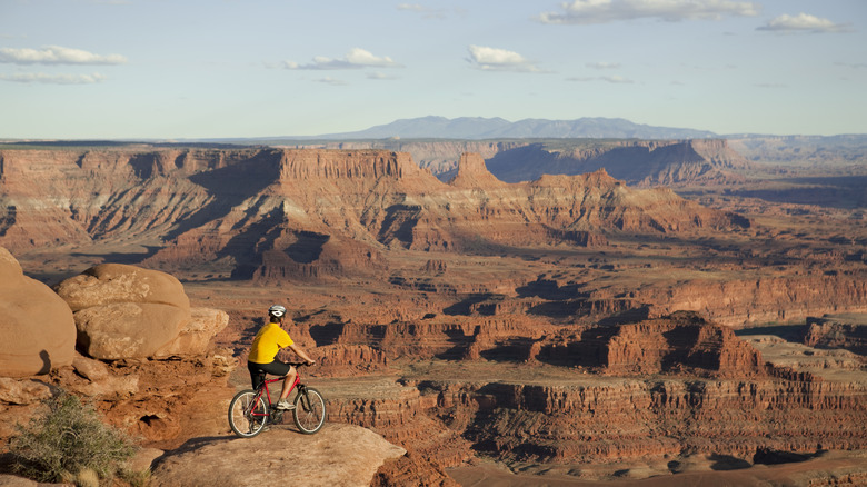 biker overlooking canyon