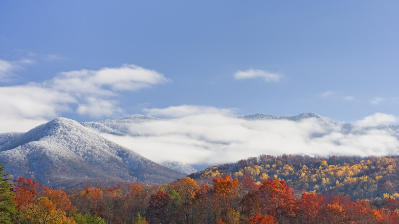 Mountains near Gatlinburg