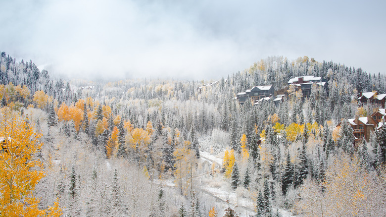 Telluride scenery 