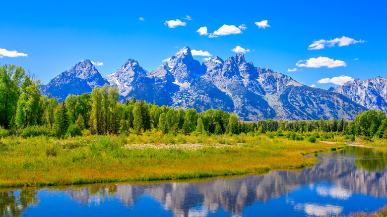 Mountains and forests in Grand Teton