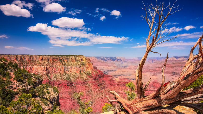 Southern Rim of Grand Canyon