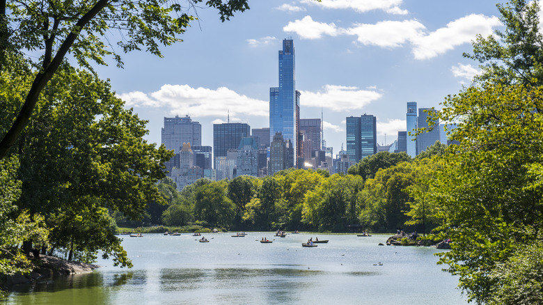 Central Park, New York City 