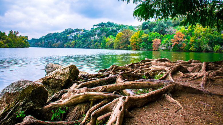 Red Bud Isle in Texas