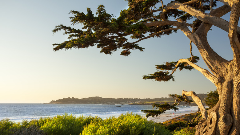 California coastline.