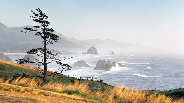 Cannon Beach coastline