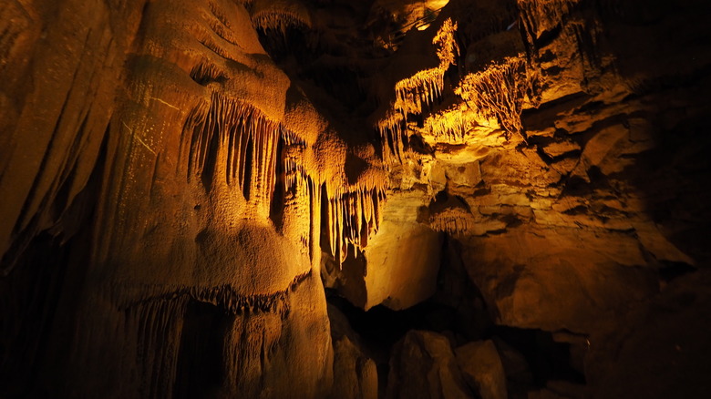 Mammoth Cave wall structures