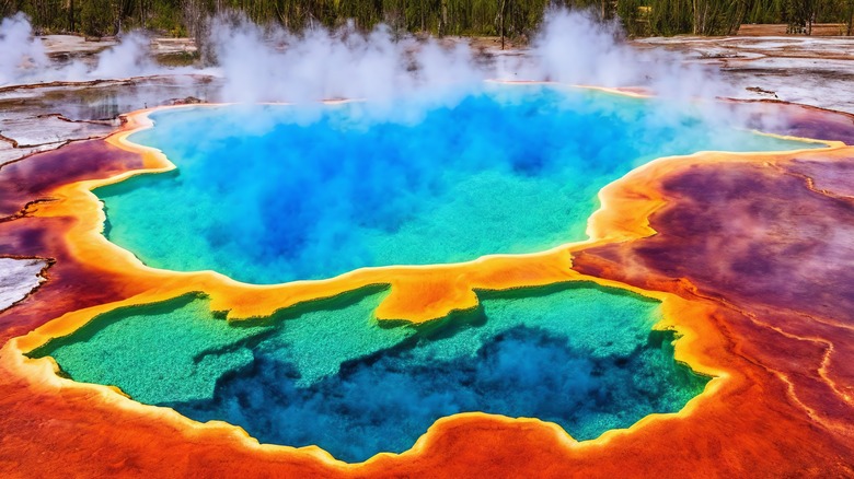 Yellowstone's Grand Prismatic Spring