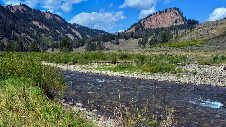 Bridger-Teton National Forest scenery