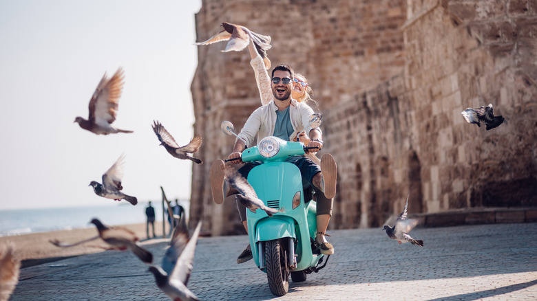 Couple on scooter alarms pigeons