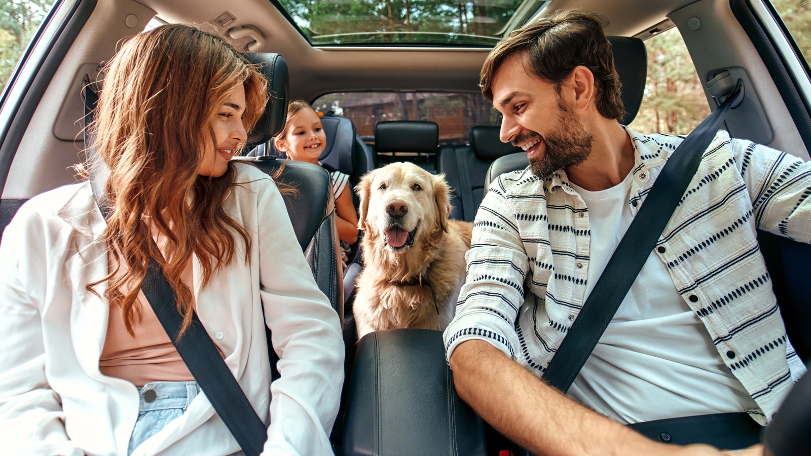 Everything You Need For A Road Trip With Dogs: Dog Travel