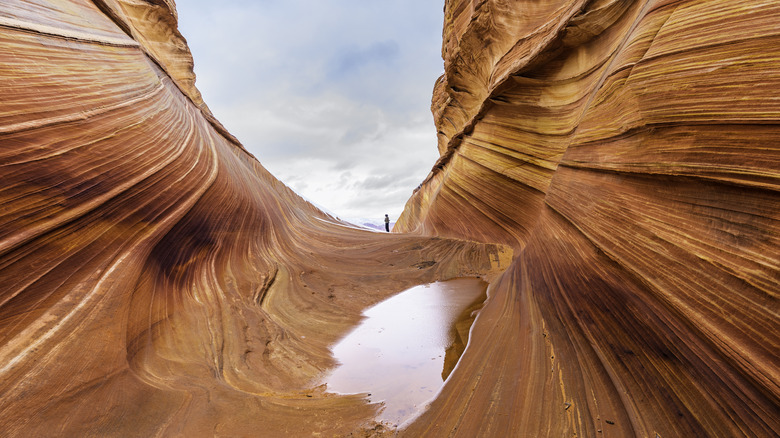 Hiker stands at the end of The Wave in Arizona