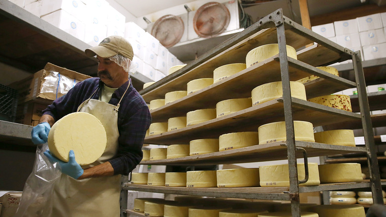 a cheesemaker in Sonoma