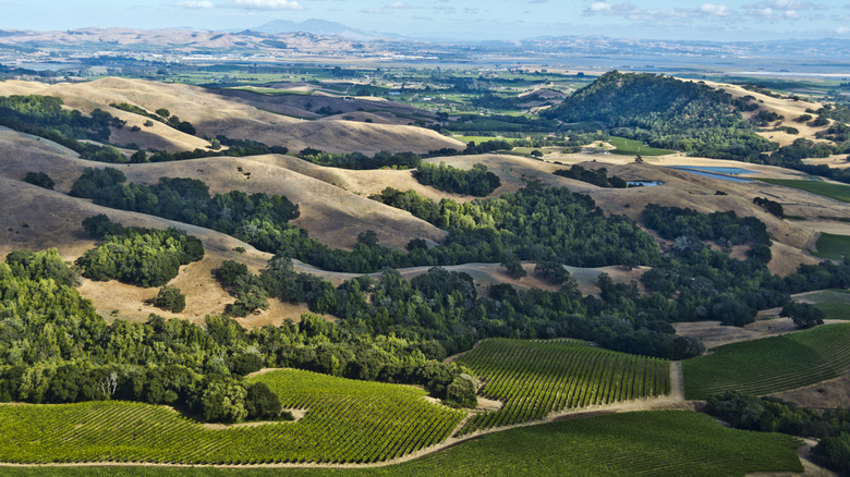 aerial view of Sonoma county