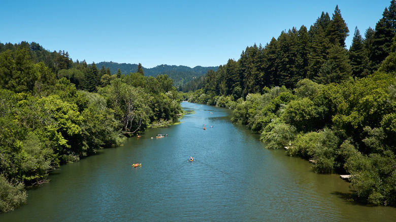 kayakers on Russian River