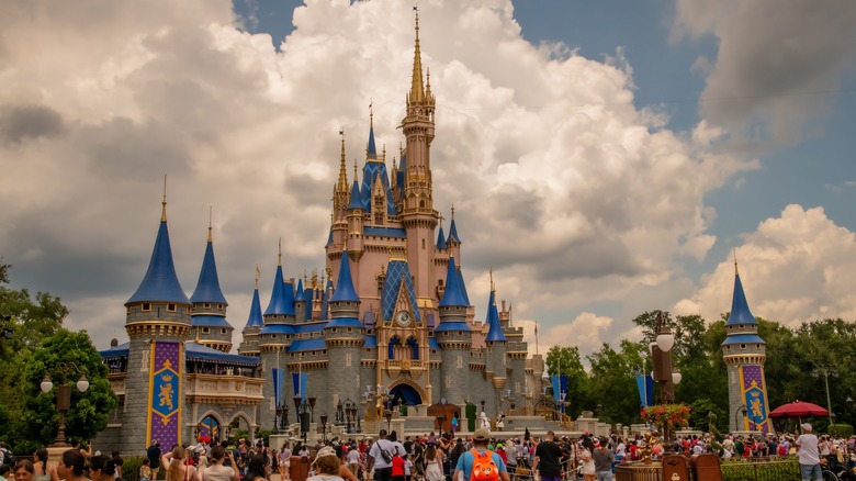 View of Disney's Cinderella Castle