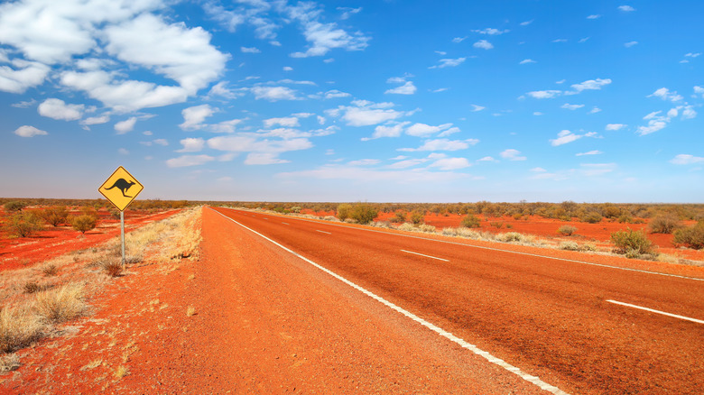 red dirt road under blue sky