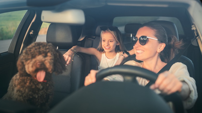 family in car during trip