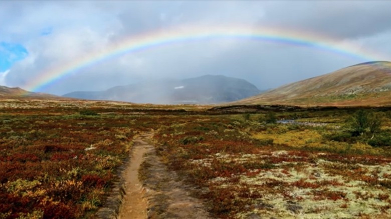 Rainbow over Dovrefjell-Sunndalsfjella National Park
