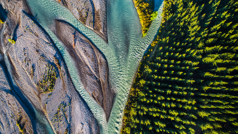 aerial view of new zealand river and forest