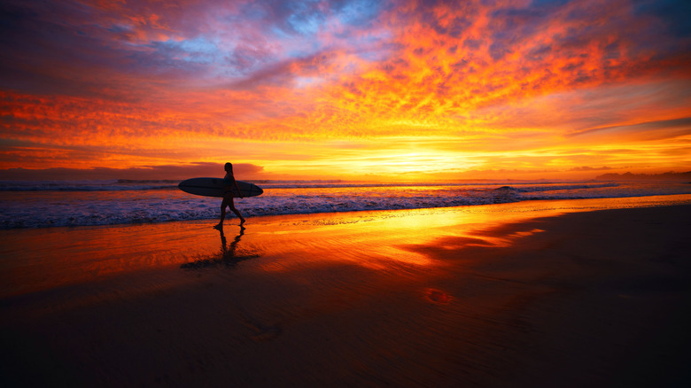 Surfer walks along the beach at sunset in Nosara