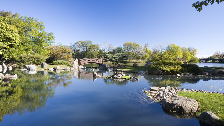 moon bridge Chicago Japanese Garden lush