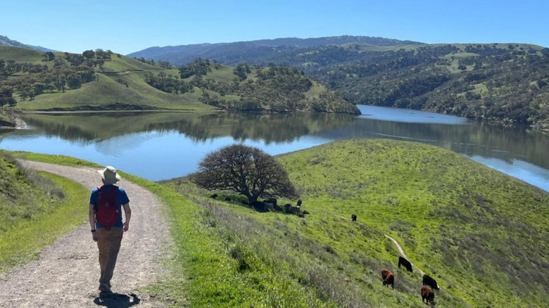 Person hiking on trail along a lake