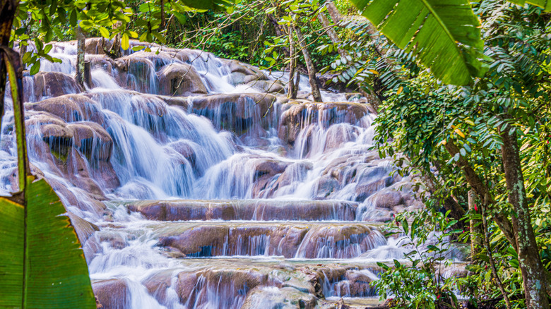 Dunn's River Falls in rainforest