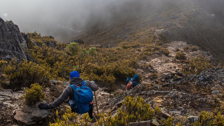 Two hikers on Cerro Chirripó, Costa Rica