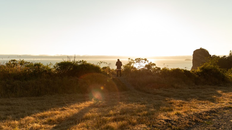 person standing at Gold Beach Oregon at sunset