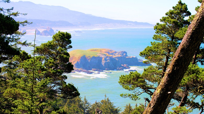 view through trees of Gold Beach Oregon