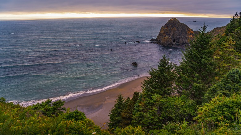 coastline of Gold Beach Oregon surrounded by forest