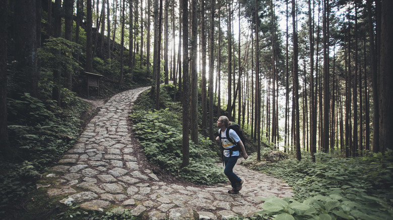 person hiking path in forest