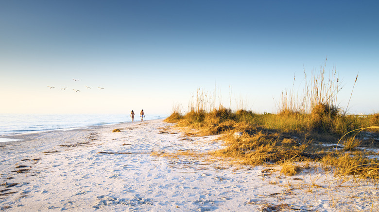 Clear skies over Fort de Soto Park in Florida