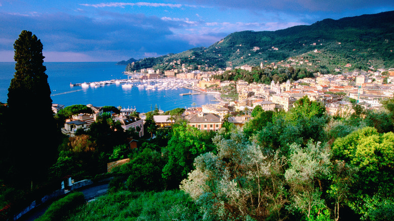 aerial view santa margherita ligure italy