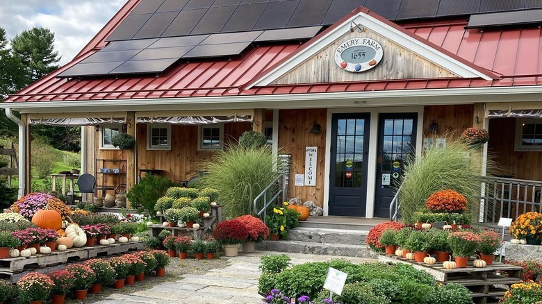 Wooden building with red roof surrounded by plants