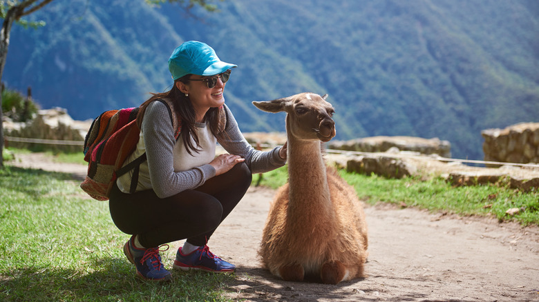 Girl with llama