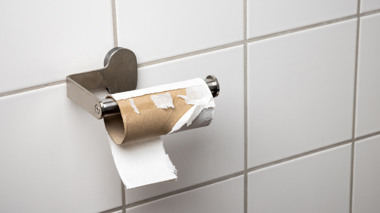 An empty toilet roll in a public toilet.