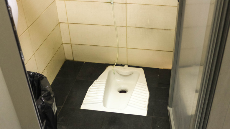 A squat toilet in a European public WC.