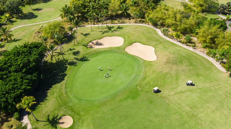 players on a golf green