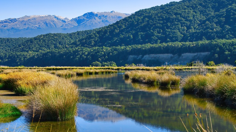 New Zealand's Waiau River