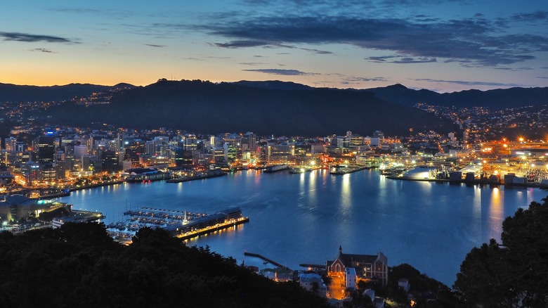 Wellington by night