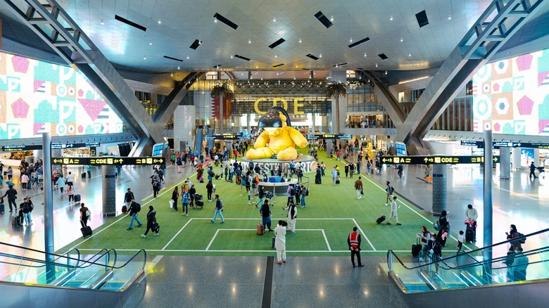 The bear at Doha airport