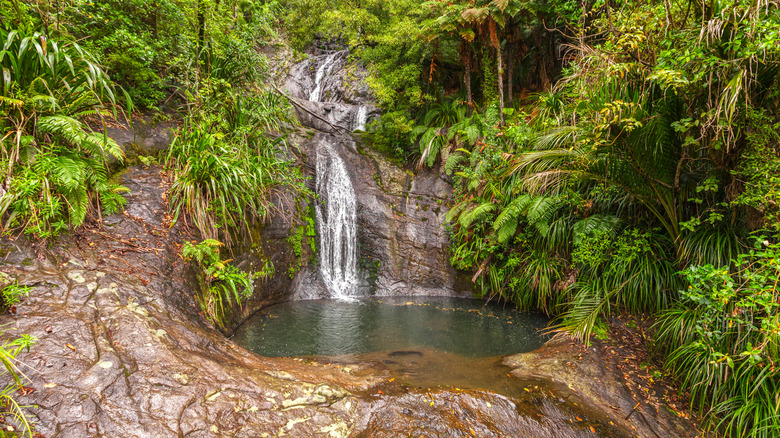 Fairy Falls in New Zealand