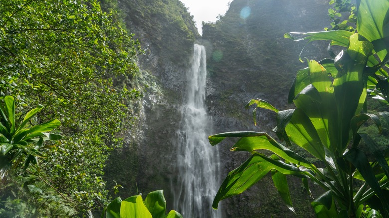 Hanakapiai Falls in Hawaii