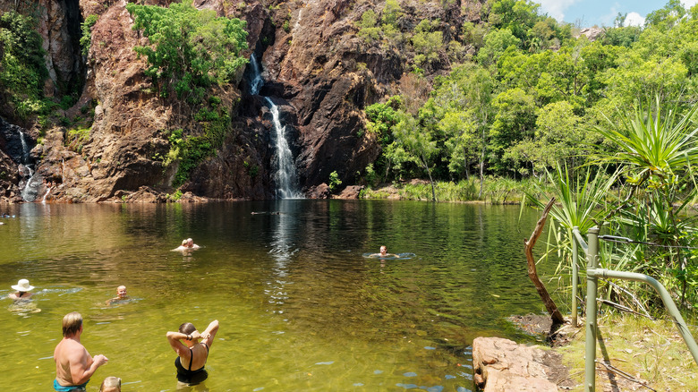 people swimming near Wangi Falls