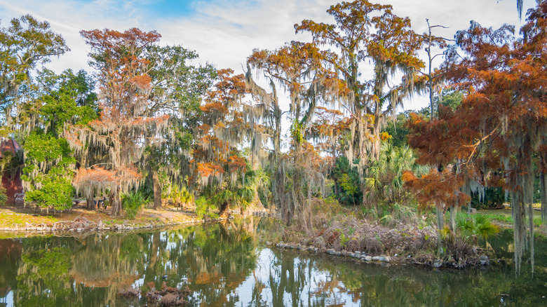 City Park in New Orleans